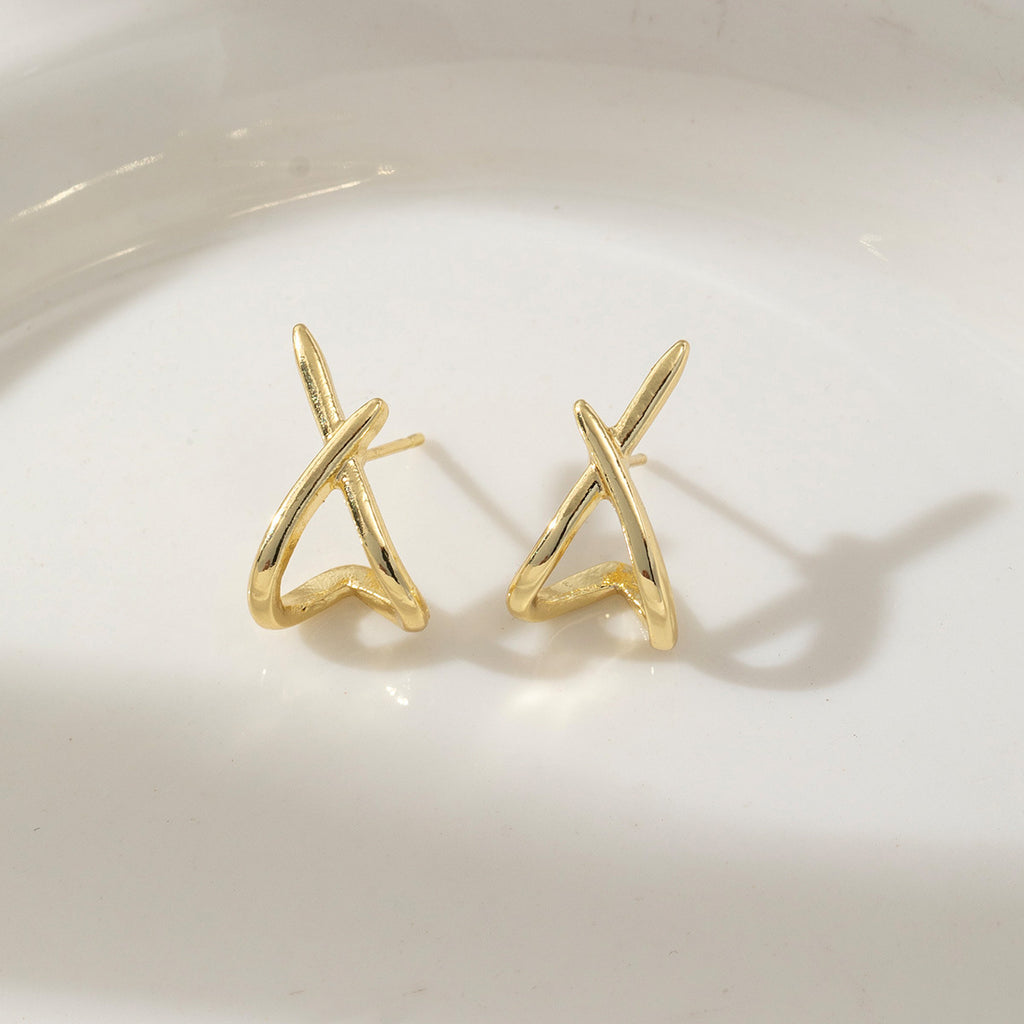 Luxury Earrings A6