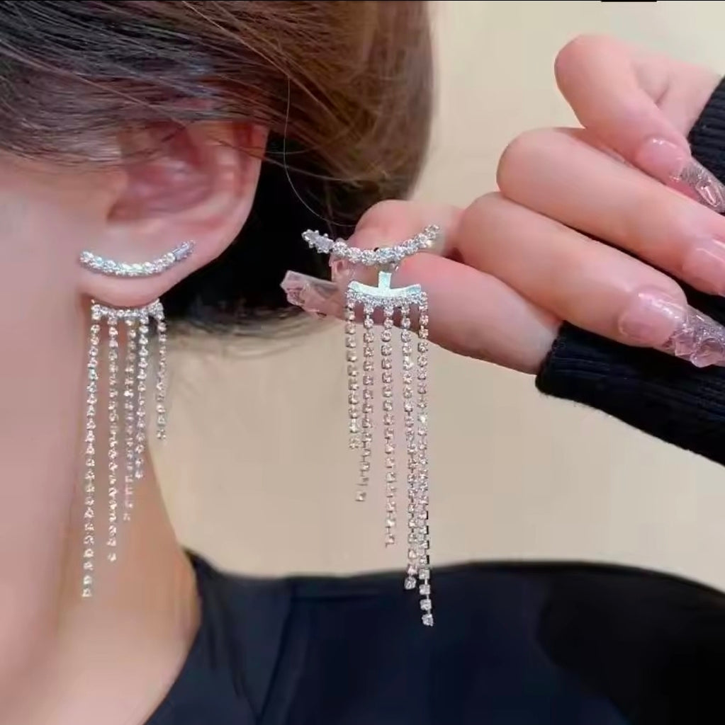 Luxury Earrings A10